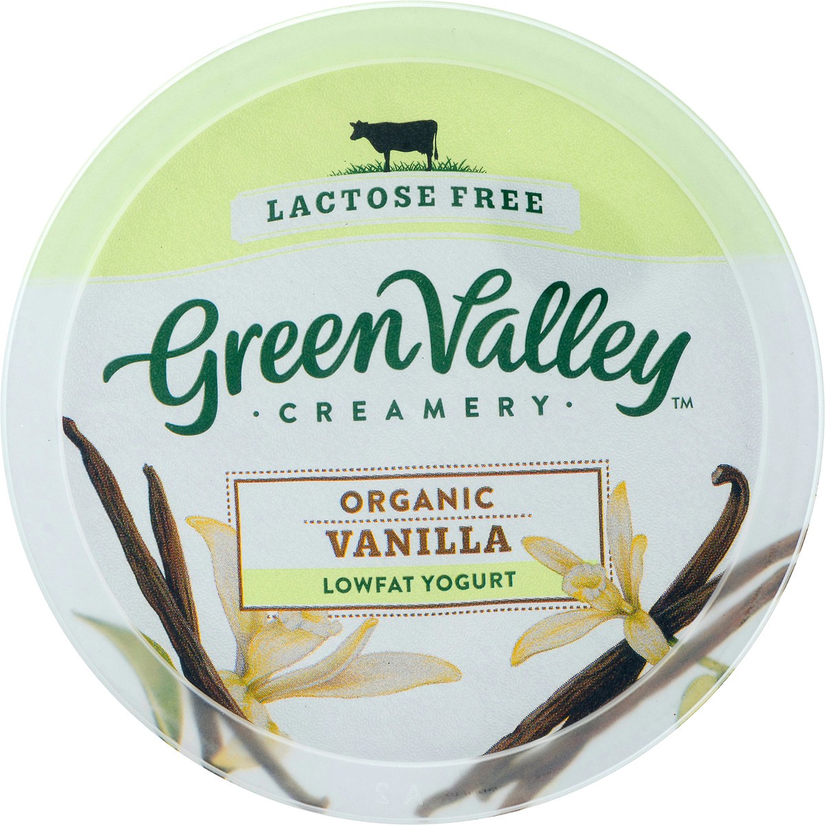 slide 5 of 10, Green Valley Creamery Lactose Free Lowfat Organic Yogurt 24 oz, 24 oz