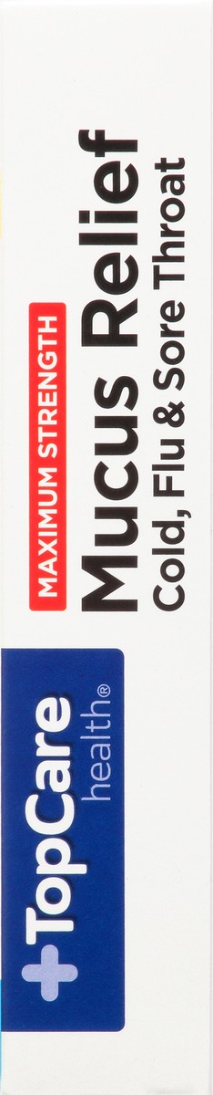 slide 9 of 9, TopCare Mucus Relief Cold Flu Sinus, 20 ct