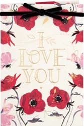 Hallmark Valentines Card 1 ea