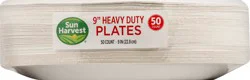 Sun Harvest Earth Friendly 9In Plates
