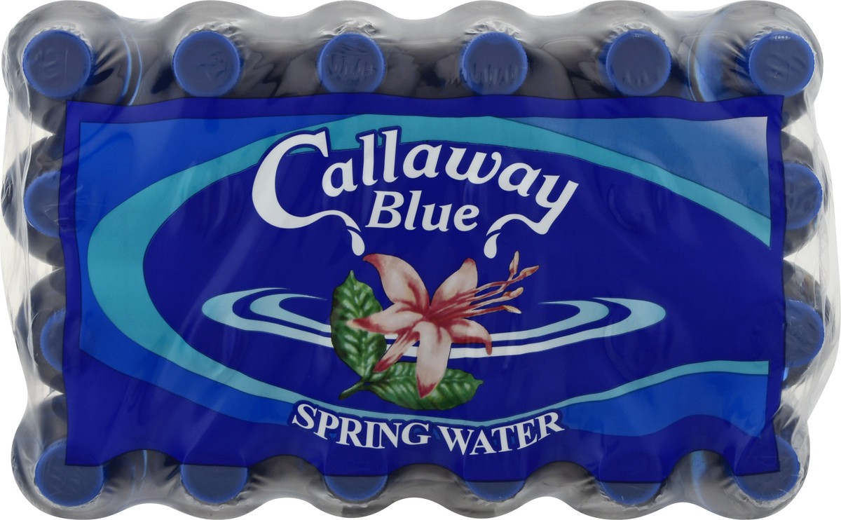 Callaway Blue Spring Water 16.9 fl oz, 24 Pack