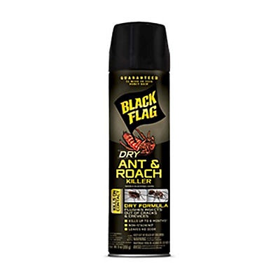 slide 1 of 1, Black Flag Dry Ant & Roach Killer Spray, 9 oz