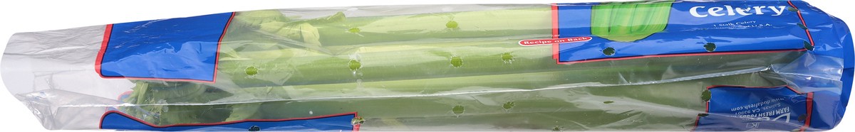 slide 10 of 13, Dandy Celery 1 ea, 1 ct