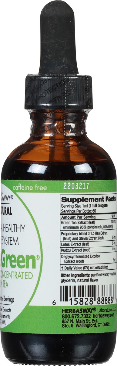slide 8 of 9, HerbaSway HerbaGreen Concentrated Original Green Tea 2 fl oz, 2 fl oz
