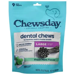 Chewsday Dental Chews Fresh Mint Flavor Dog Treats, 9 Each