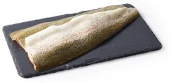 Fresh Rainbow Trout Fillet Farm Raised