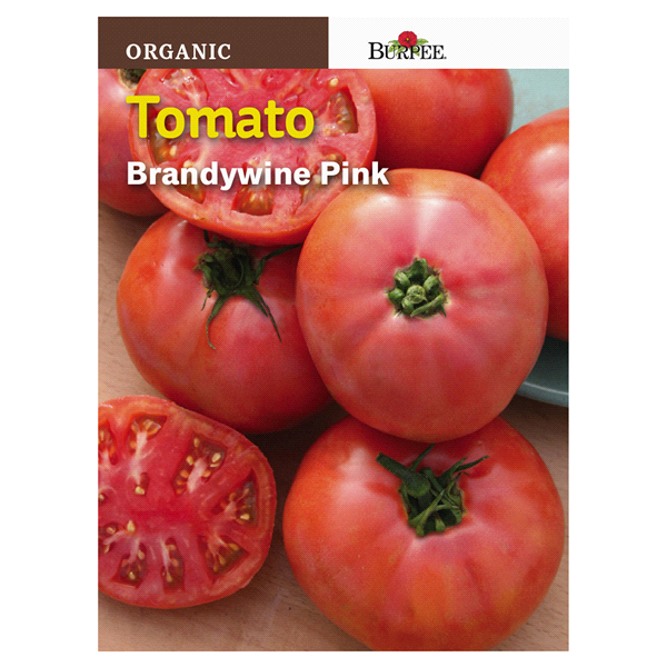 slide 1 of 1, Burpee Tomato Brandywine Pink Seeds, 1 ct