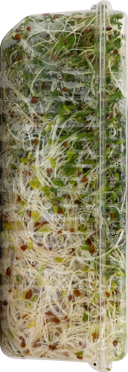 slide 3 of 4, Sproutman Alfalfa Sprouts 4 oz, 4 oz