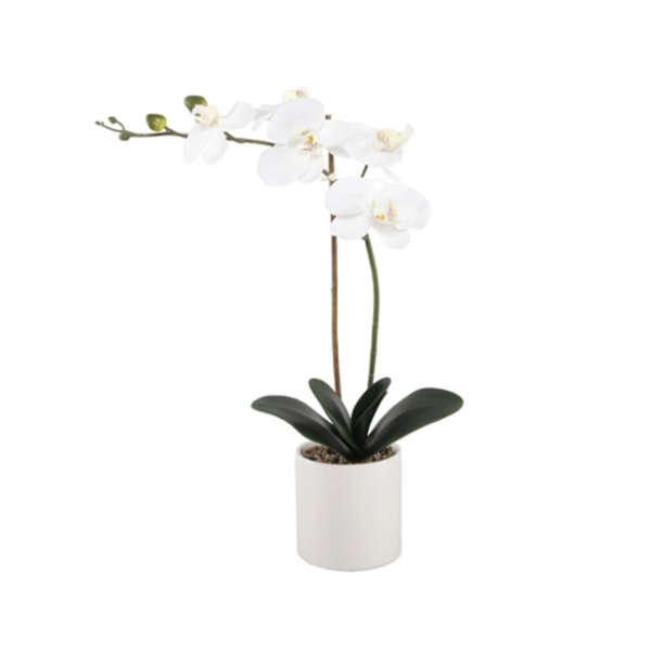 slide 1 of 2, Realspace 18-1/2''H Real Touch Orchid In Ceramic Pot, White, 1 ct