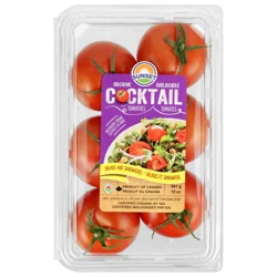 Sunset Organic Campari Tomatoes