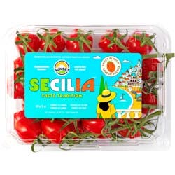 Sunset Secilia On The Vine Tomatoes