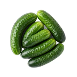 Sunset Bagged Mini Cucumbers