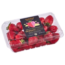 WOW Dreamberry Strawberries