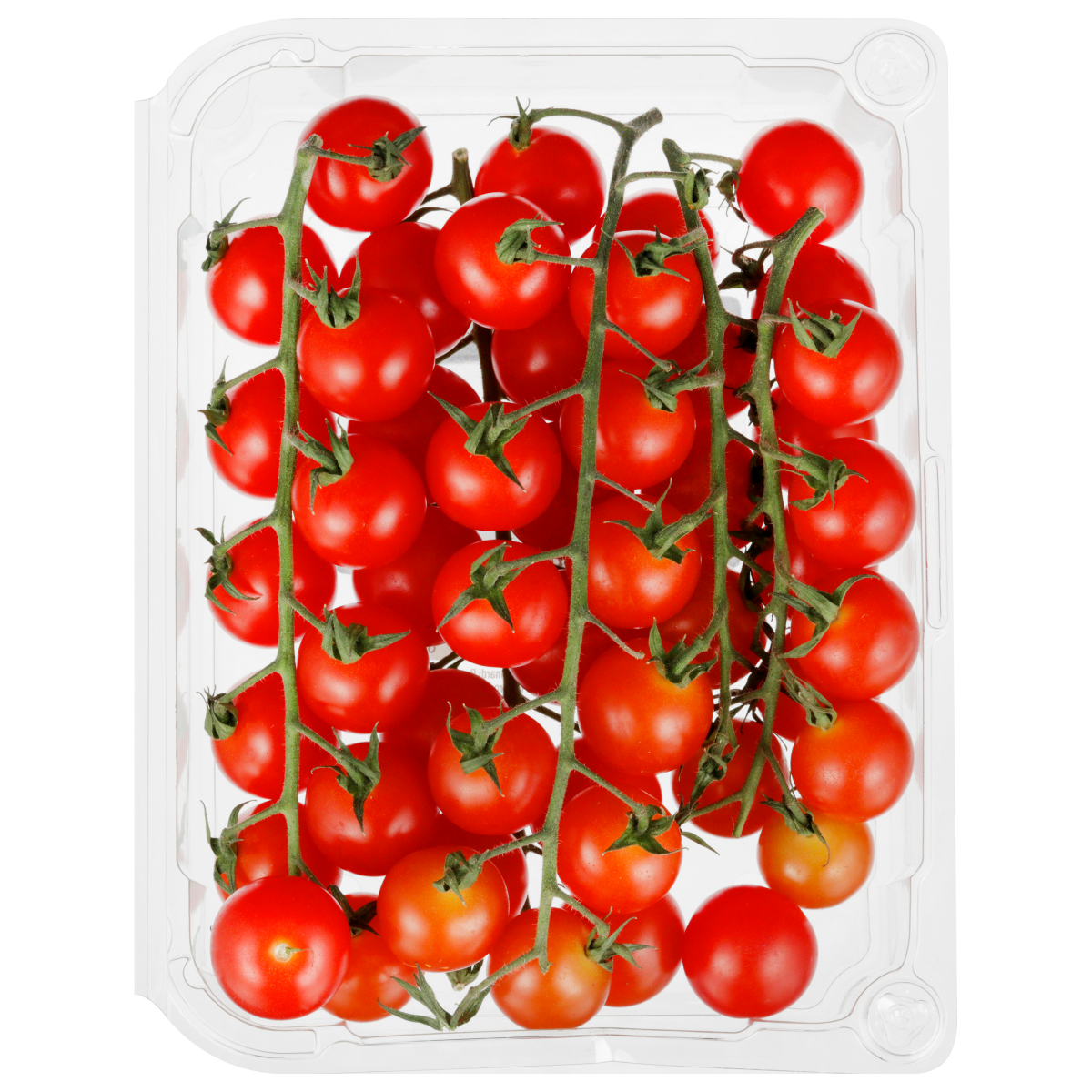 slide 9 of 29, Sunset Organic Sweet Bites Snacking Tomatoes On-the-Vine, 6 ct