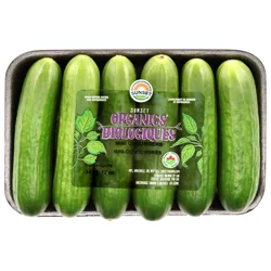 SUNSET Organics Biologiques Mini Cucumbers
