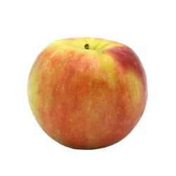 Zestar Apples