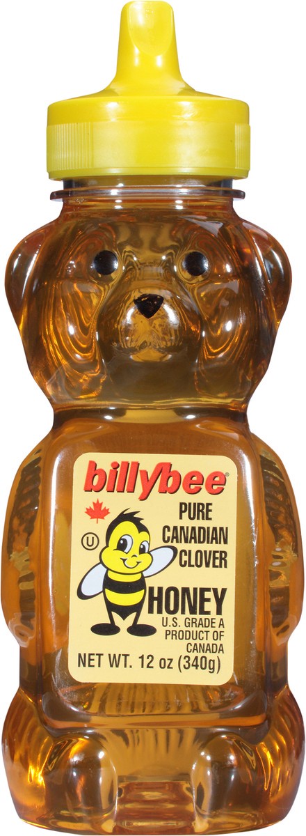 slide 6 of 9, Billy Bee Pure Canadian Clover Honey, 12 oz, 12 oz