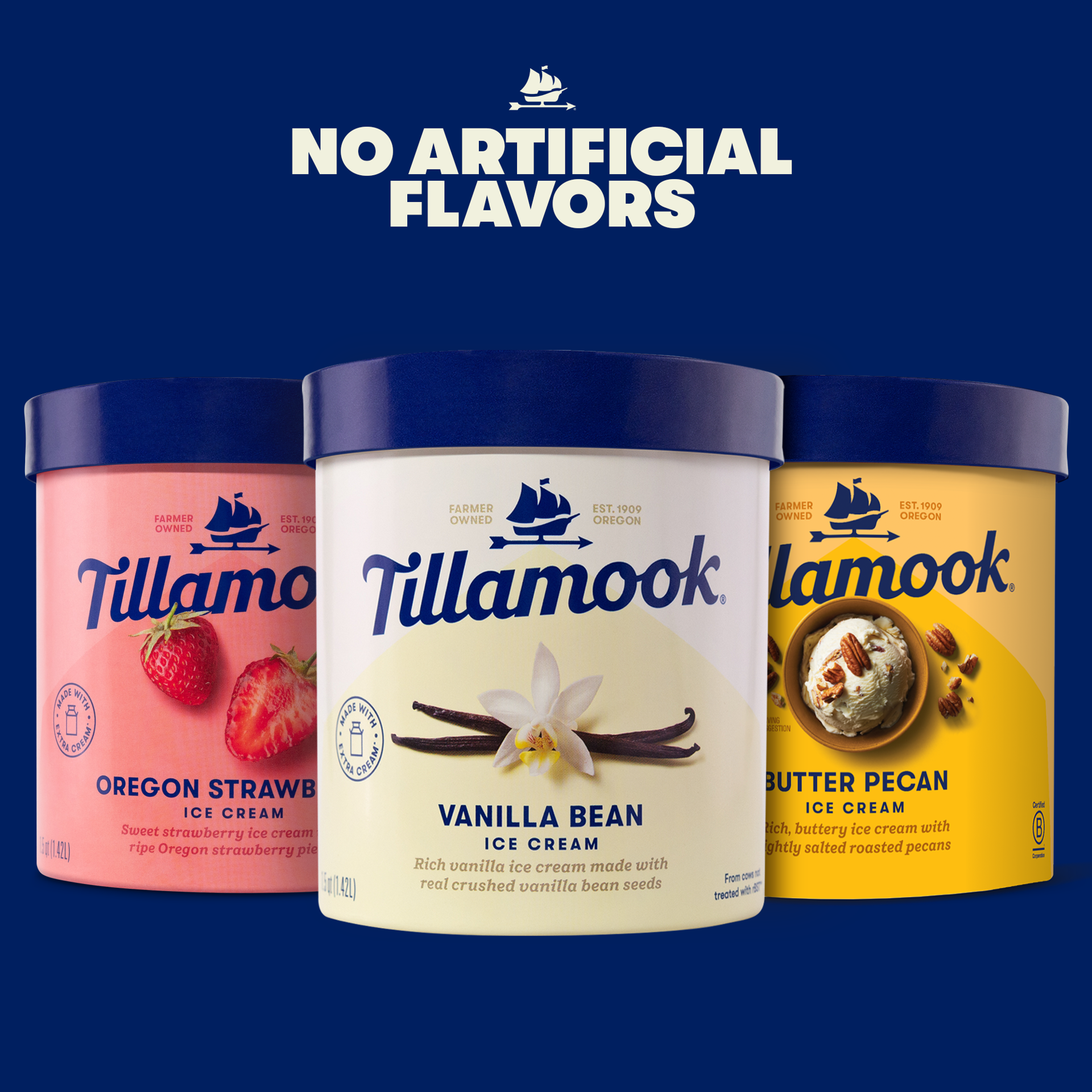 slide 2 of 5, Tillamook Butter Pecan Ice Cream 1.5 qt, 855 g