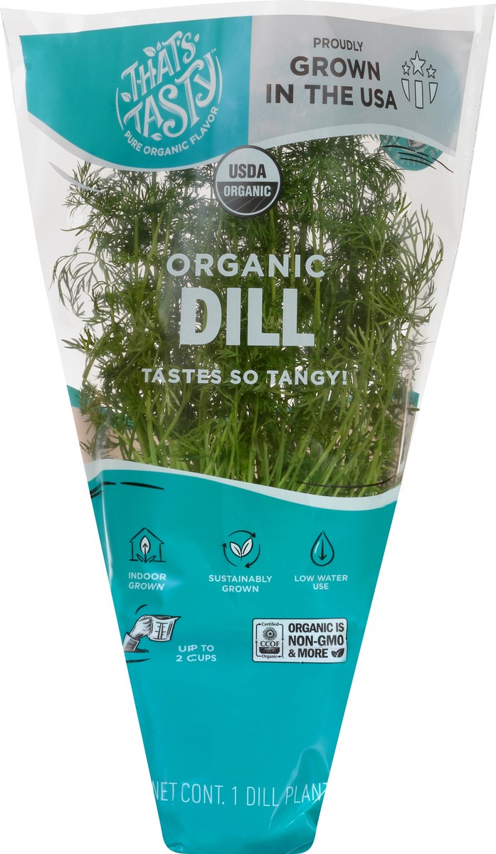 slide 2 of 11, That's Tasty Living Organic Dill - Ea, 6 oz