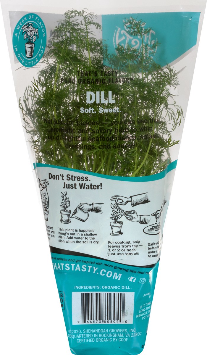 slide 5 of 11, That's Tasty Living Organic Dill - Ea, 6 oz