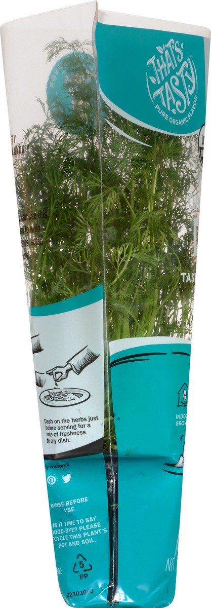 slide 7 of 11, That's Tasty Living Organic Dill - Ea, 6 oz