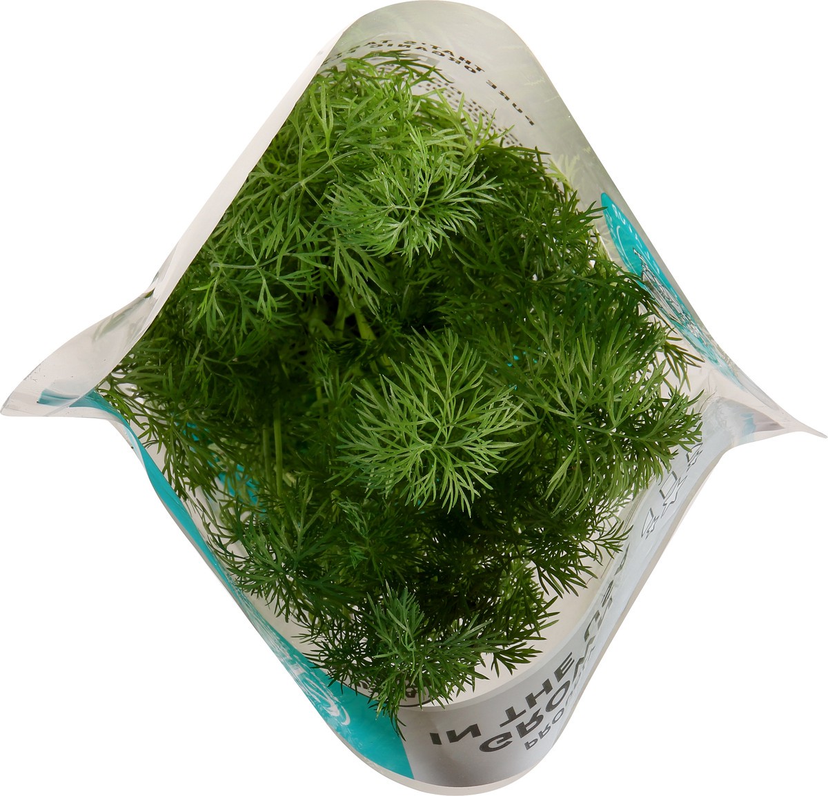 slide 8 of 11, That's Tasty Living Organic Dill - Ea, 6 oz