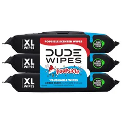 DUDE Wipes® Poopsicle Flushable Wipes Dispenser Multipack, 144 ct