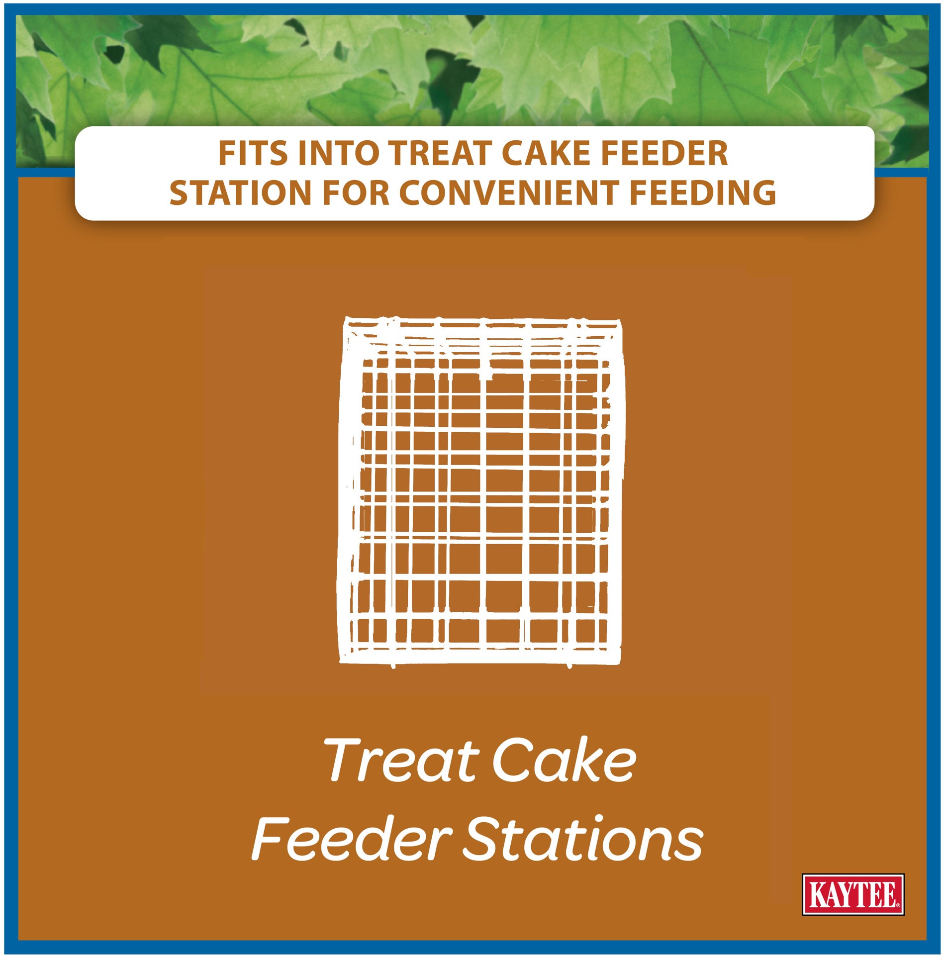 slide 3 of 9, Kaytee Corn A Plenty Seed Cake, 1 ct