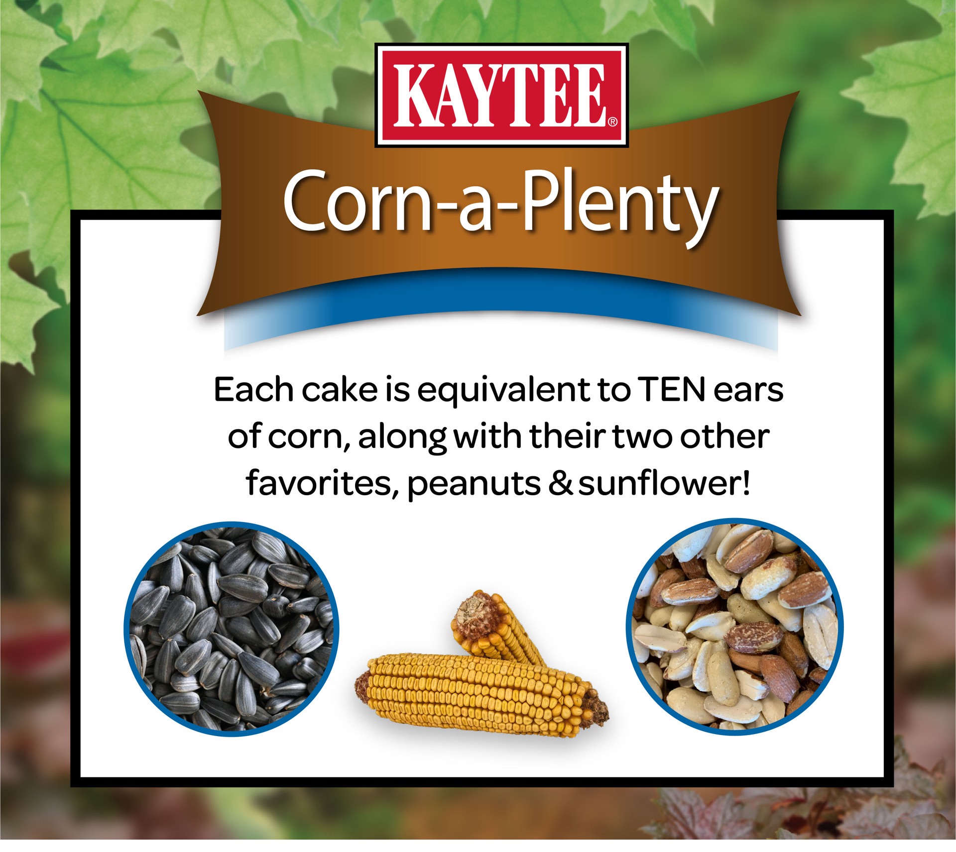 slide 5 of 9, Kaytee Corn A Plenty Seed Cake, 1 ct