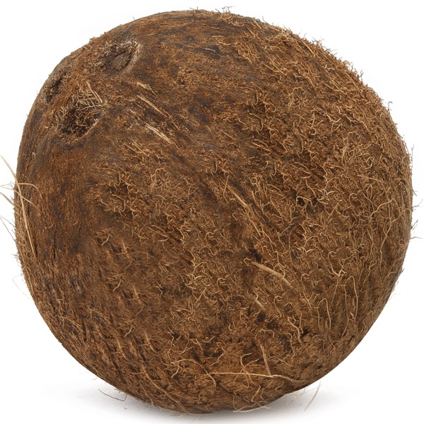 slide 1 of 1, Coconuts In Husk, 1 ct