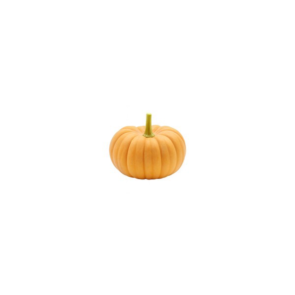 slide 1 of 1, Mini Fairytale Pumpkin, 1 ct