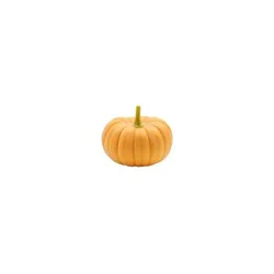 Mini Fairytale Pumpkin