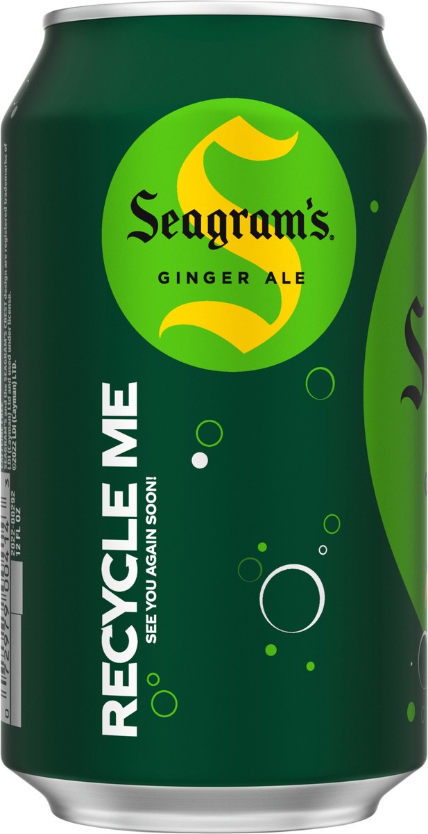 Seagram's Seagrams Ginger Ale Can, 12 fl oz 12 fl oz Shipt
