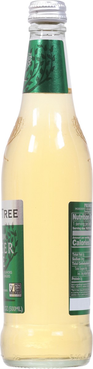 slide 8 of 9, Fever-Tree Soda Ginger Ale Premuim - 16.9 oz, 16.9 oz