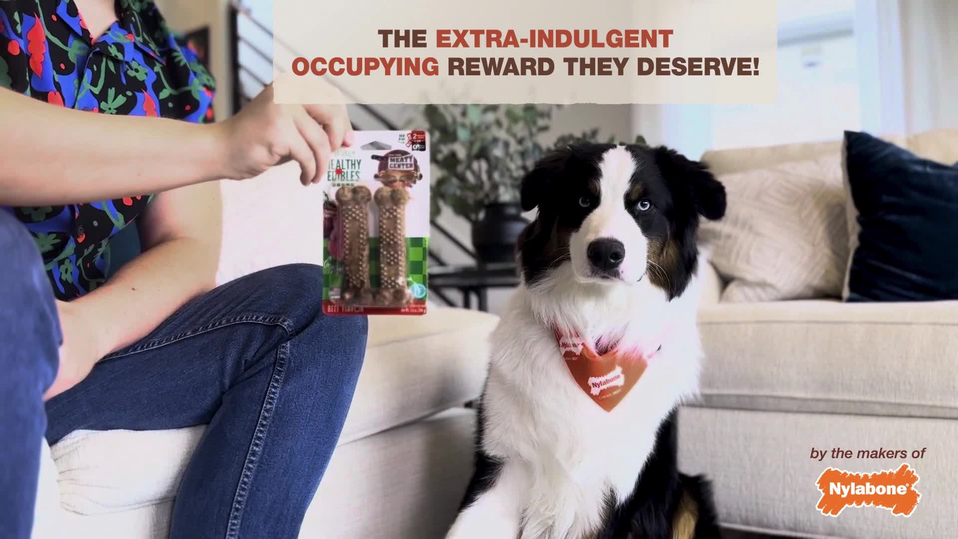 slide 9 of 10, Nylabone Healthy Edibles Meaty Center Natural Dog Treats Beef Small - Up to 30 lbs.(12 Count), 12 ct