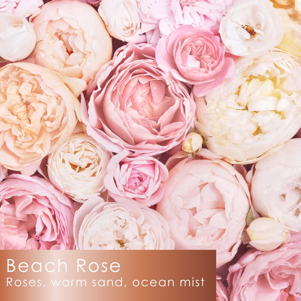 slide 2 of 4, Tuscany Serene Clean Collection Scented Jar Candle - Beach Rose, 1 ct