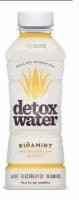 slide 1 of 1, detoxwater Pinamint - 16.9 fl oz, 16.9 fl oz