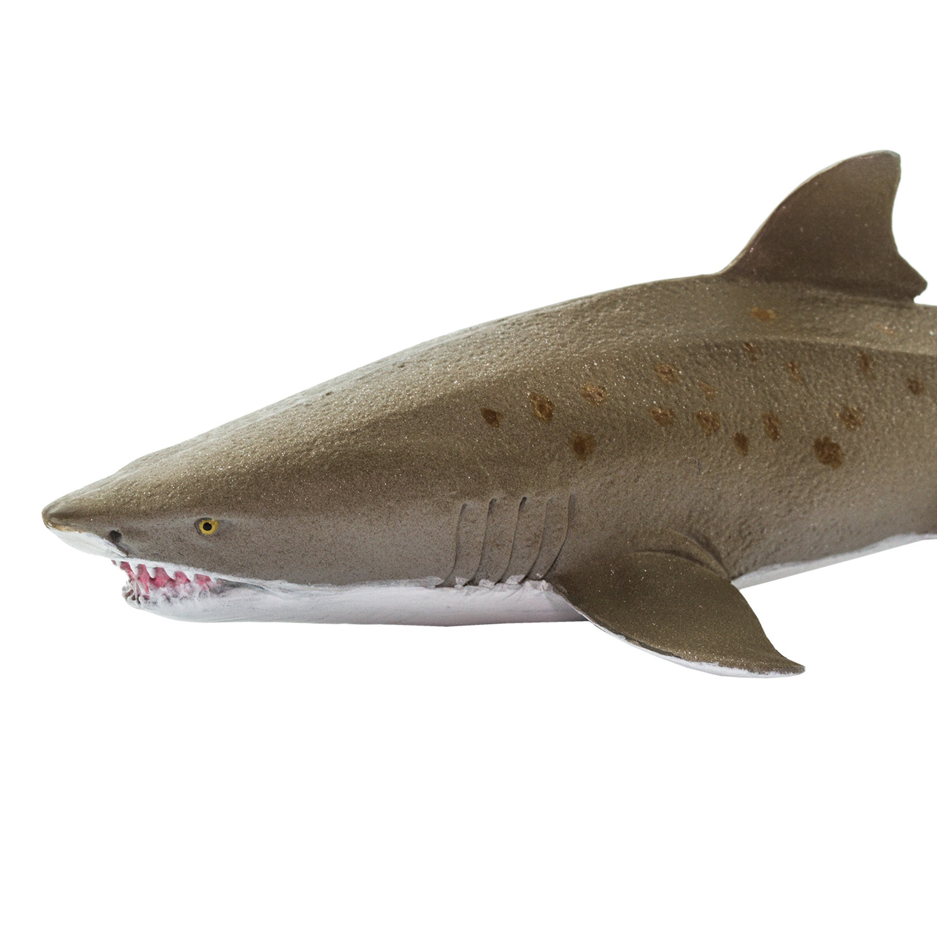 slide 2 of 4, Safari Ltd. Safari Ltd Sand Tiger Shark, 6.5 in x 1.75 in