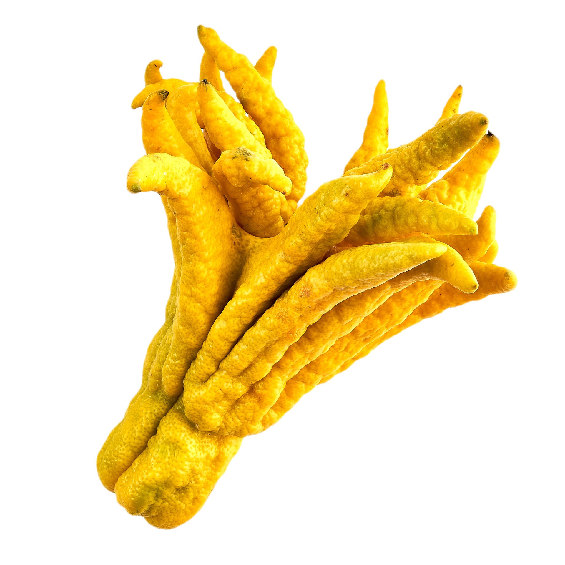 slide 1 of 1, Produce Buddha's Hand, 1 lb