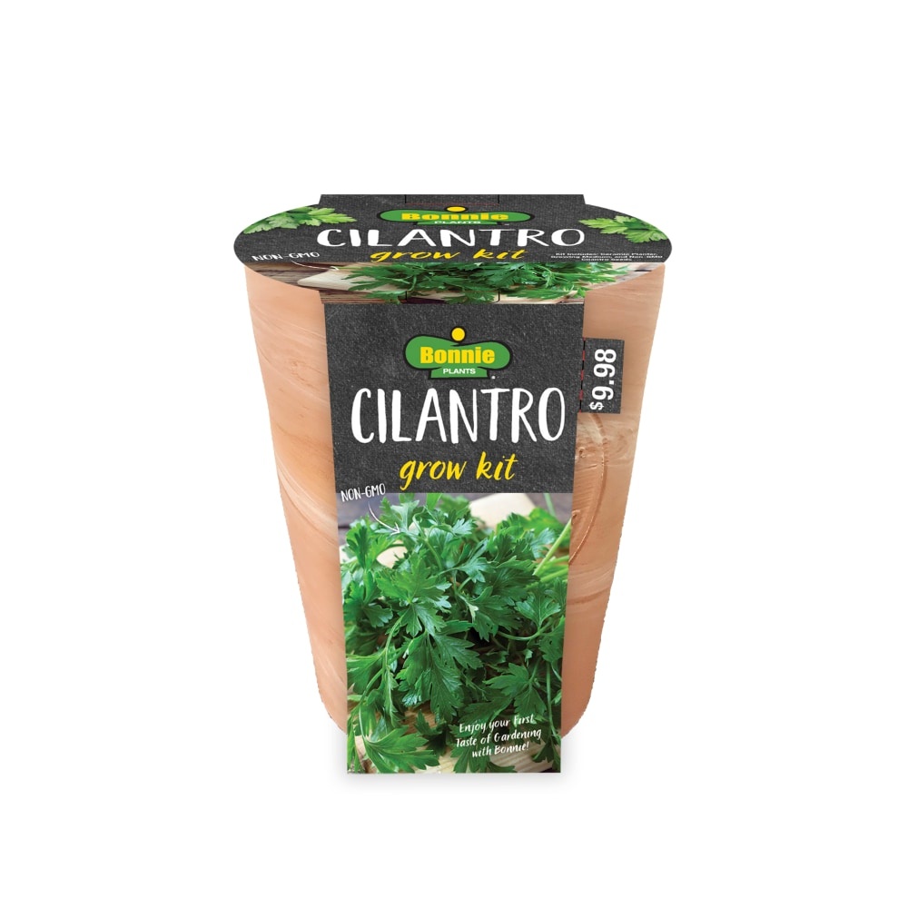 slide 1 of 1, Bonnie Plants Cilantro Seeds Growing Kit, 1 ct