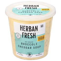 Herban Fresh Broccoli Cheddar Soup