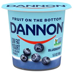 Dannon Fruit on the Bottom Blueberry Low Fat Yogurt 5.3 OZ Container