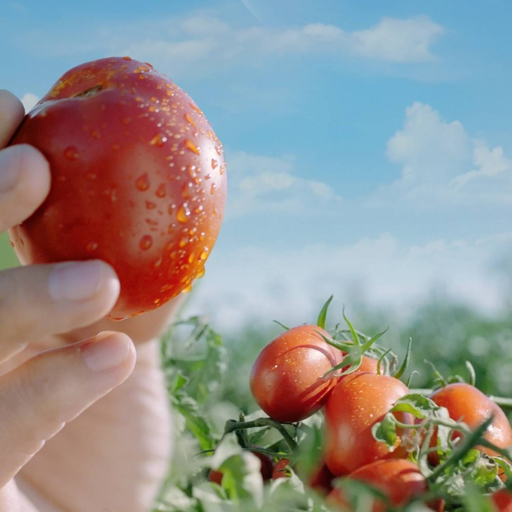 slide 2 of 4, Hunt's 100% Natural Petite Diced Tomatoes, 14.5 oz