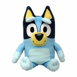 Bluey - Floppy Reg - EA
