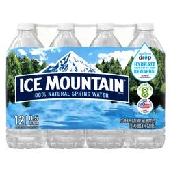 ICE MOUNTAIN Brand 100% Natural Spring Water,  (Pack of 12) - 16.9 fl oz