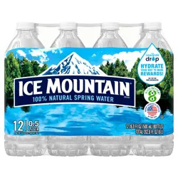 ICE MOUNTAIN Brand 100% Natural Spring Water, 16.9-ounce bottles (Pack of 12)