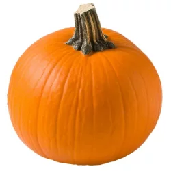 Pumpkin Specialty Assorted