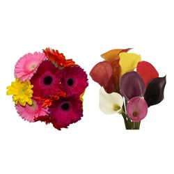 VLSP Mini Callas and Gerbs Combo Box