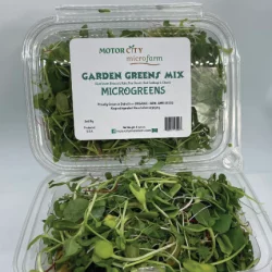 Motor City Microfarm Organic Garden Blend Mix Microgreens