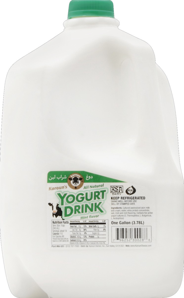 slide 4 of 5, Karoun Mint Flavor Yogurt Drink, 1 gal